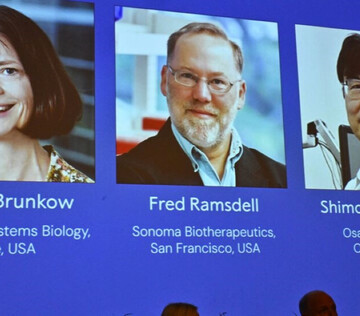 Названы лауреаты Нобелевской премии по физиологии и медицине 2025