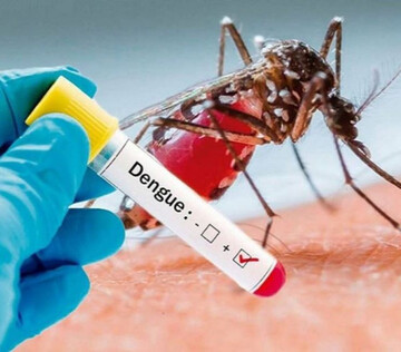 В России разработали первый экспресс-тест для выявления вируса денге