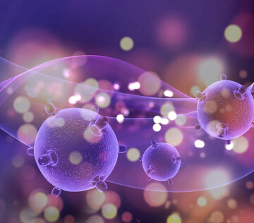 «Клетки-киллеры» научили атаковать рак почки