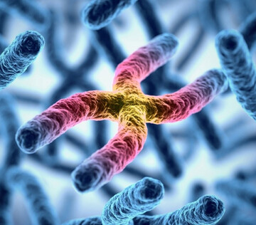 Около 5% людей обладают генетическими вариациями, повышающими риск рака