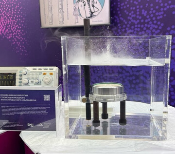 Метод разрушения опухоли ультразвуком испытают на имитации черепа человека