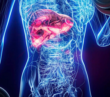 В США выявили бактерии микрофлоры, связанные с развитием рака поджелудочной железы