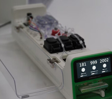 Биологический "искусственный интеллект" создали в Австралии