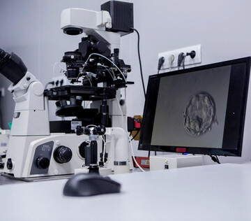 CAR-T технологии для лечения онкологии начнут применять в Петербурге в 2026 году