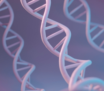 Российские ученые обнаружили новую форму врожденного множественного артрогрипоза