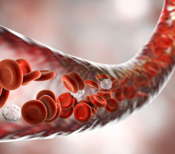 COVID-19 ускоряет старение кровеносных сосудов