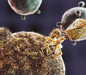 В России создали гель для защиты ран от стафилококка