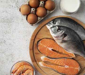 Жиры могут стать ключевым фактором в лечении метаболических нарушений мозга