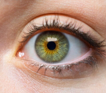 Женские половые гормоны связали с более быстрым прогрессированием пигментного ретинита