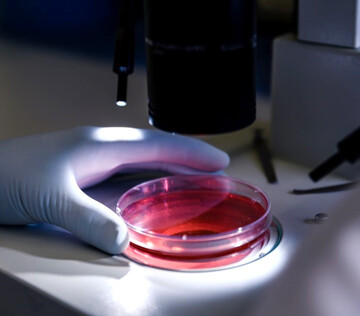 В России создали тест для экспресс-диагностики ХОБЛ