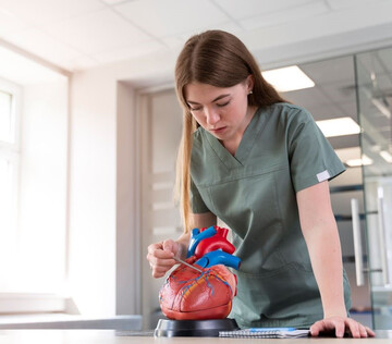 Российские ученые создали лабораторный комплекс для изучения сердца на клеточном уровне