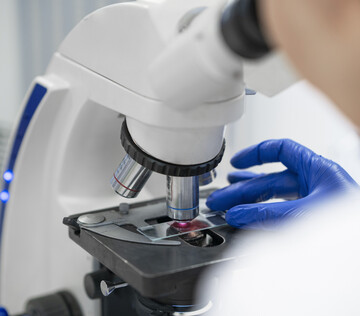 Клеточная терапия помогла остановить прогрессирующий рассеянный склероз у мышей